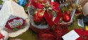 IMG_20211215_102951